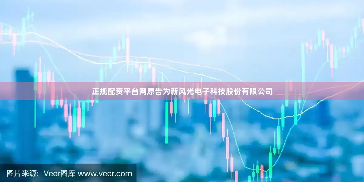 正规配资平台网原告为新风光电子科技股份有限公司
